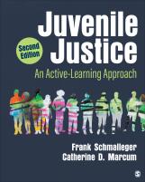 Juvenile Justice: An Active Learning Approach