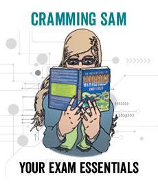 Cramming Sam
